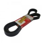 Correia Dupla Mercedes Benz OM457 Onibus 29676GS Gates 0059973092