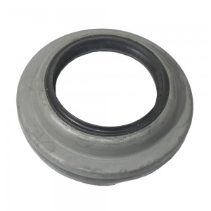 Retentor Cubo Traseiro Ford F75 F100 F1000 Ranger 2209BAGE