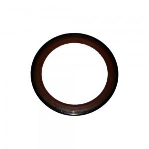 Retentor Caixa Traseiro ZF 16S Dianteiro Original 0734319551