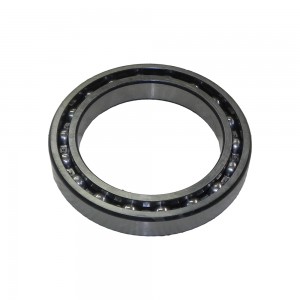 Rolamento Caixa Cambio Traseiro ZF 16S1300 Fino 0750116166