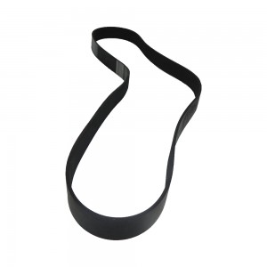 Correia Alternador Iveco Eurocargo Eurotech Cursor 10PK1725