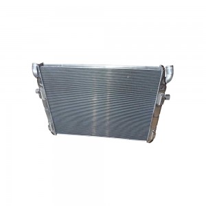 Radiador Agua Scania R112 R113 Frontal Bicudo 1100630LD3