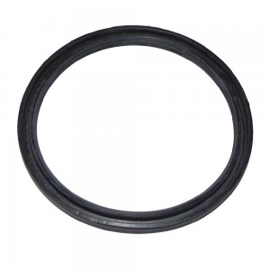 Retentor Sinotruk 140x160x13mm 14016013