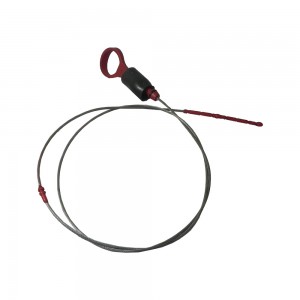 Vareta Nivel Oleo Motor T114 R124 Serie 4 1516044