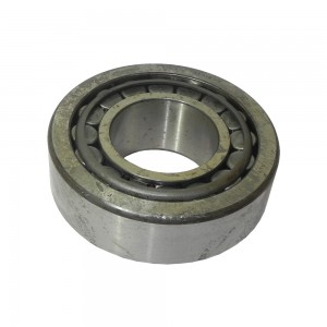 Rolamento Pinhao 111 R751 Grande 194137G