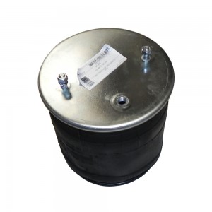 Bexiga Suspensão Traseira R124 Completa ST030 950469