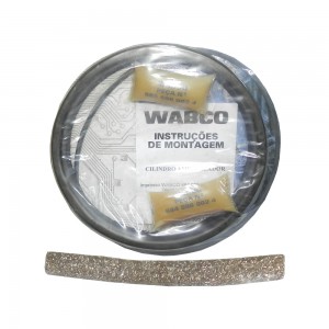 Reparo Cilindro Amplificador Freio Mercedes Benz 3455860643