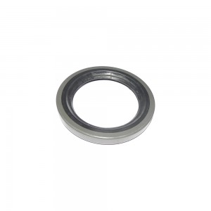 Retentor Cubo Traseiro Ford Chevrolet D60 87 30 00085B 10012