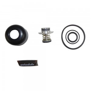 Reparo Valvula Pedal Ford F700 750 QA851 981052 4143868