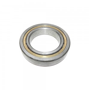 Rolamento Sinotruk Howo NJ1011E GB28364