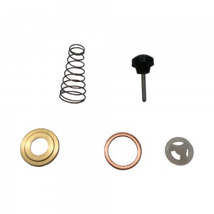 Reparo Valvula Retencao Ford Cargo 815S 2004 QA846 538425