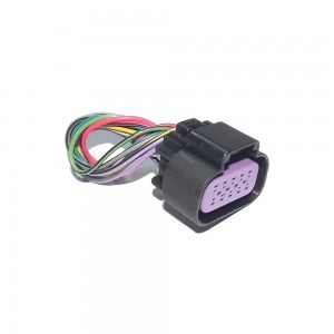Plug 10 Vias Pedal Acelerador Ford Cargo 1317 Tc1418 Ete5124