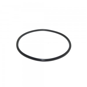 Anel Vedacao Bomba Agua MWM X10 X12 International 7004117C1
