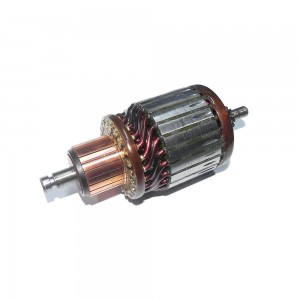 Induzido Motor Partida Ford Cargo 715 1317e Bg9x11005aag