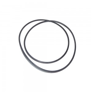 Anel Vedacao Modulo International Mwm X12 904931072091
