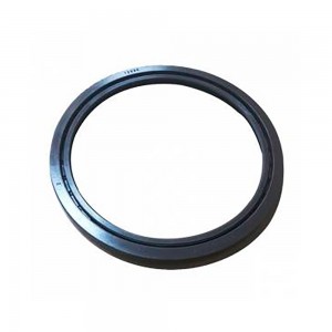 RETENTOR CUBO TRAS MERCEDES BENZ ACTROS 219976947