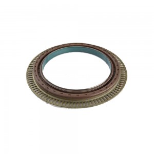 Retentor Cubo Traseiro Mercedes Axor 2544s 159974947