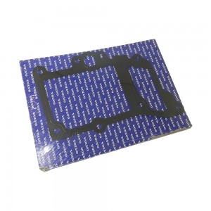 Junta Suporte Filtro Oleo Cambio Volvo FH12 D13a Cambio I-Shift 20483578