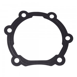 Junta Tampa Cilindro Freio Eixo Cambio Volvo FH12 20497205