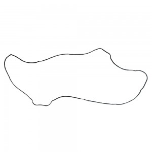 Junta Coletor Admissao Volvo B11R Anel Borracha 20850506