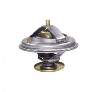 Valvula Termostatica Mwm X10 4 6 Maxxforce 7.2H 2591328C1
