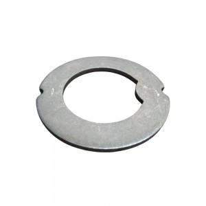 Arruela Encosto Cubo Scania 111 112 113 114 124 273022