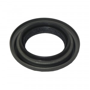 Retentor Pinhao Diferencial Iveco Daily 2005 2012 503120319