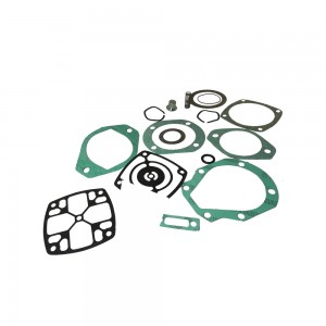 Reparo Compressor Ar Cummins B Volkswagen QE296 2RL198301B