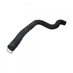 Mangueira Radiador Superior Volkswagen 24250E 2T2121051Q