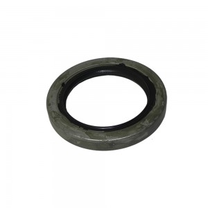 Retentor Pinhao Ford F13000 Diferencial 345 Tinkao 104060