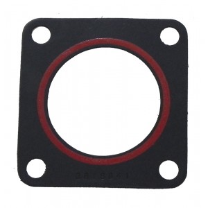 Junta Carcaca Valvula Termostatica International ISM 3818841