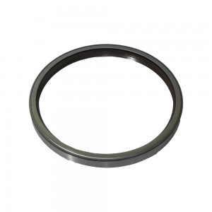 Retentor Cubo Traseiro Eurotech Stralis 40100673