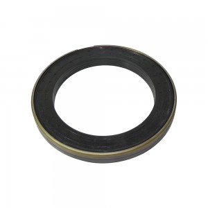 Retentor Cubo Traseiro Iveco Stralis 6X4 Tracado 40102333