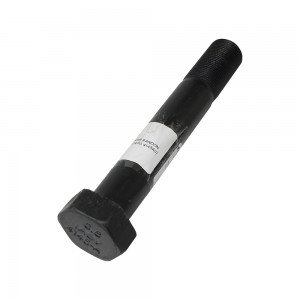 Parafuso Suspensao Traseira T124 R124 30X190MM 4145A