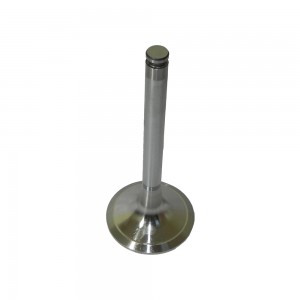 Valvula Admissao MBB LS1935 Motor OM447 OM449 4420500526