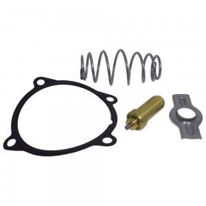 Reparo Valvula Termostatica Trakker Stralis 504263917REPARO