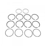 Jogo Aneis Compressor Ar Scania T R112 113 2000 2003 538010