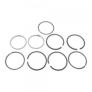 Jogo Aneis Compressor Ar Scania T R112 113 2000 Diant 538011