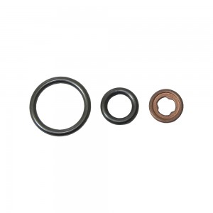 Kit Anel Vedacao Porta Injetor Mercedes Benz 5419970545K