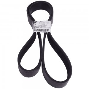 Correia 8Pk1230 Iveco Tector 240E25S 170E22 5801378015