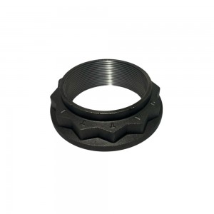 Porca Pinhao Mercedes Benz LS1634 3340 3344 Axor 9463510072