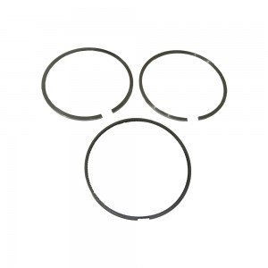 Jogo Aneis Motor P124 G124 R124 2012 Em Diante A76830