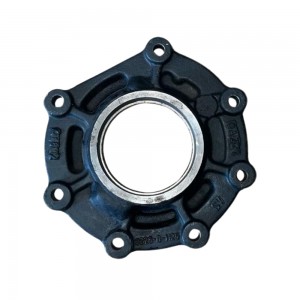 Tampa Rolamento Diferencial Sinotruk Iveco AZ3226H1126