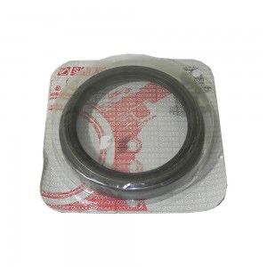 Retentor Cubo Traseiro Ford F600 25mm 5170BGE BD7T1175C