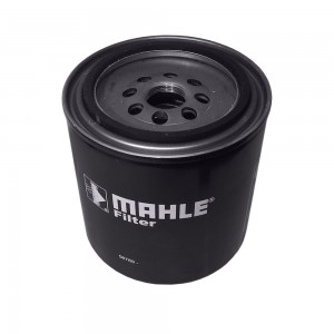 Filtro Lubrificante Cargo 1114 Motor Ford Aspirado EONN6714A