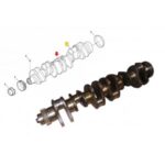 Virabrequiam International Cummins 9800 ISM STD 2882729US