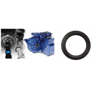 Retentor Freio Retarder Telma Volvo B58 Onibus 1695524