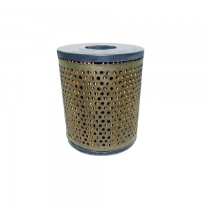 Filtro Lubrificante Agrale 1090 2100 T900 LC2430