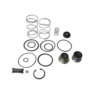 Reparo Valvula Pedal Volks Cargo International TAG698423